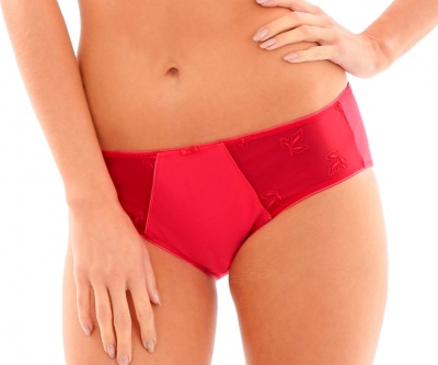 Panache Nouveau Brief - Cherry